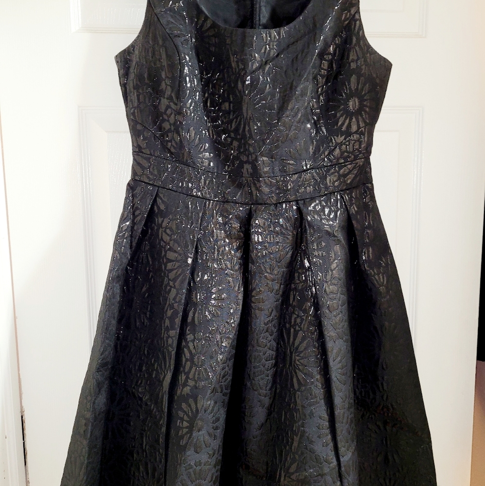 Black skater dress